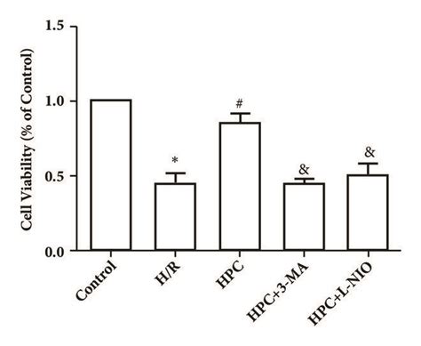 Autophagy And Enos Were Involved In The Protective Effect Of Hpc