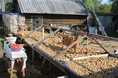 Foto Gar Peipusu Pa Sīpolu Ceļu Top Jauns Pārgājienu Maršruts No