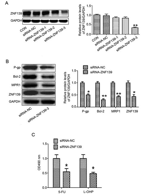 Silencing Of ZNF 139 Promotes The Chemosensitivity Of Gastric Cancer