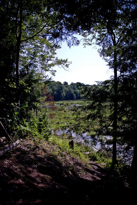 Hiking Hemlock Ridge Trail At Charleston Lake Provincial Park - Watch ...