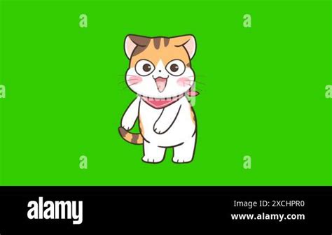 Dancing Cartoon Cat Stock Videos Footage Hd And K Video Clips Alamy