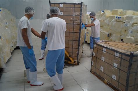 Lactonic Una Planta Procesadora De L Cteos En San Miguelito R O San Juan