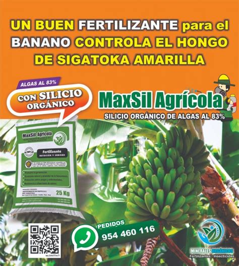 El Silicio Orgánico De Algas Como Fertilizante Para Plantas