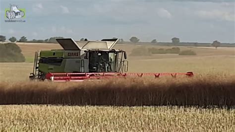 Claas Lexion 8700 En Claas Lexion 780 In Het Koolzaad Youtube