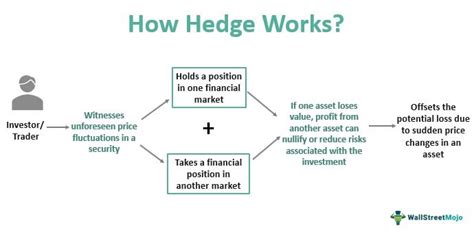 Hedge Definition What It Is And How It Works In Investing 40 OFF