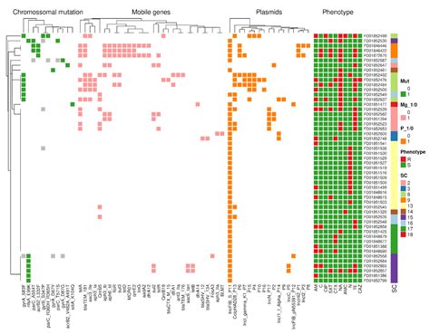 Antibiotics Free Full Text Wgs Based Lineage And Antimicrobial