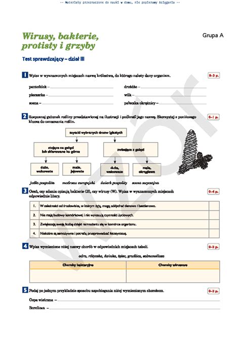 Puls Ycia Klasa Dzia Sprawdzian Grupa A Z R Z R Z R