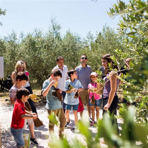 Vivez des Vacances gourmandes en famille Côte du Midi