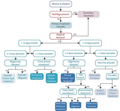 Headaches What A Physician Must Know Cme India