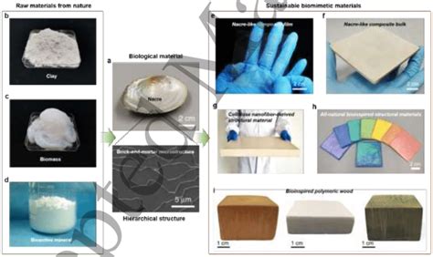 Sustainable Biomimetic Materials Made From Natural Raw Materials A