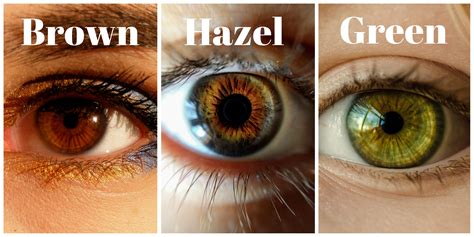 The Rare Beauty Of Hazel Brown Eyes