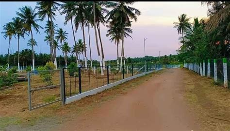 Agricultural Land Sq Ft For Sale In Pollachi Coimbatore