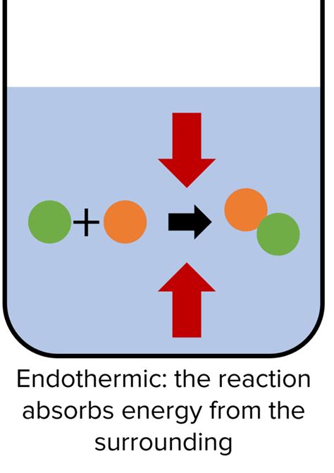 Endothermic And Exothermic Reactions Revision Mme