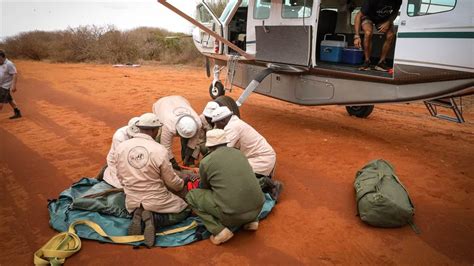 Protecting Africas Wildlife Starts In The Sky Aopa