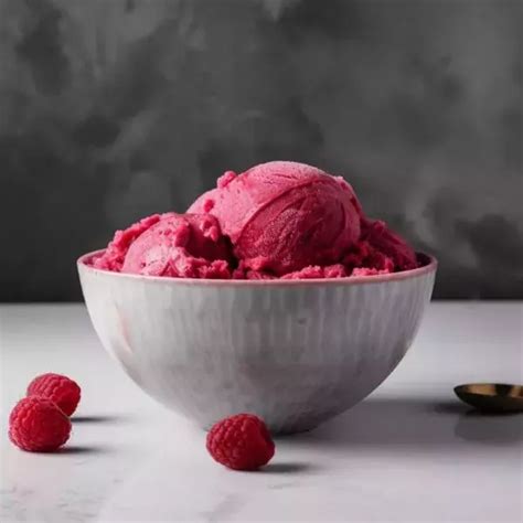 Sorbet Framboise Guy Demarle