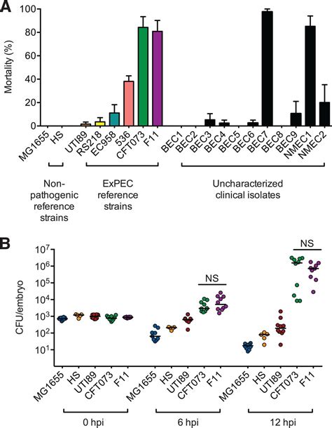 Similarly Lethal Strains Of Extraintestinal Pathogenic Escherichia Coli