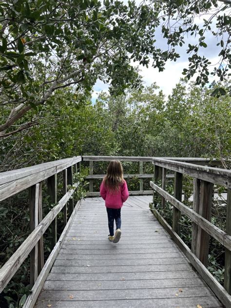 Find Your Bliss At Indian Rocks Beach Nature Preserve