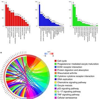 Gene Enrichment Analysis Of 133 Key DEGs In Top 3 Module Of PPI