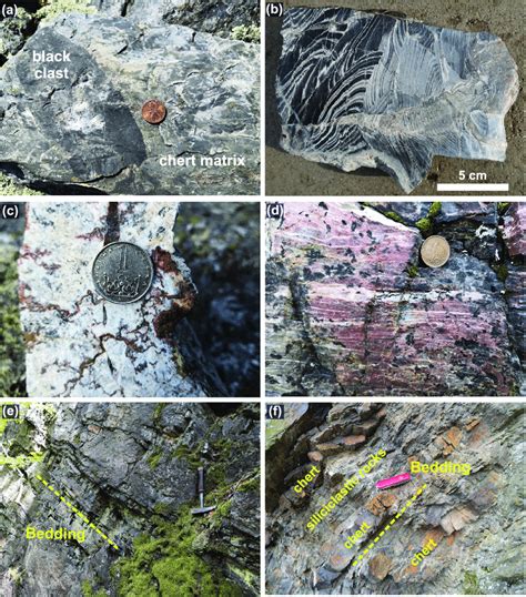 Field Photographs Of The Representative Chert Samples From The Blovice