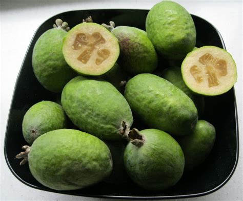 Acca Sellowiana Feijoa Pineapple Guava Guavasteen Goyavier Du Brésil Quinta Dos Ouriques