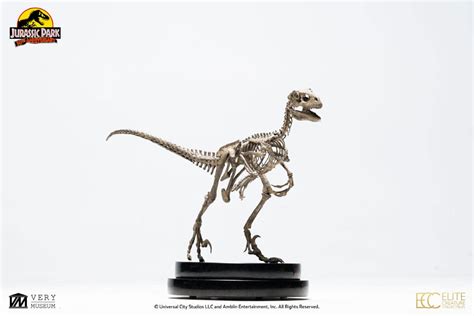 Toystnt Jurassic Park Estatua Velociraptor Skeleton Bronze Cm