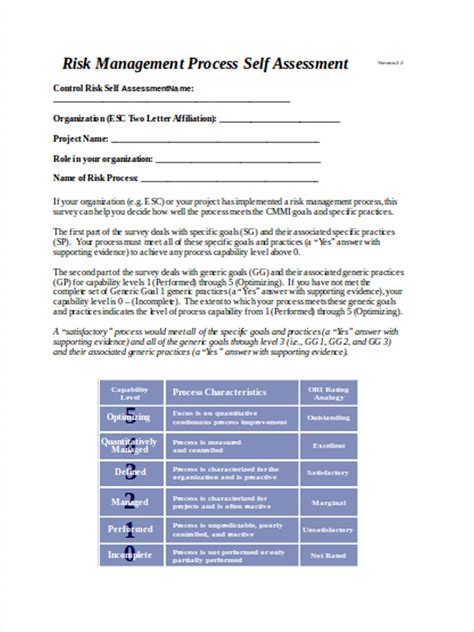 Free 4 Control Risk Assessment Forms In Pdf Ms Word