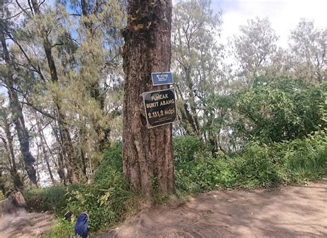 Mendaki Puncak Tertinggi Ketiga Di Pulau Dewata Gunung Abang Pande