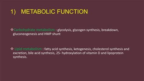 Liver Function Tests Pptx Ppt