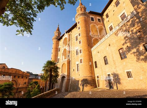 Palazzo Ducale Di Urbino Immagini E Fotografie Stock Ad Alta