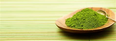 6 Best Japanese Green Tea & Matcha Brands in Japan