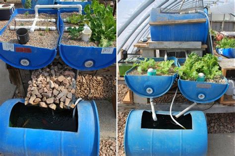 Easy Build Gravity Based PVC Aquaponic System Your Projects OBN