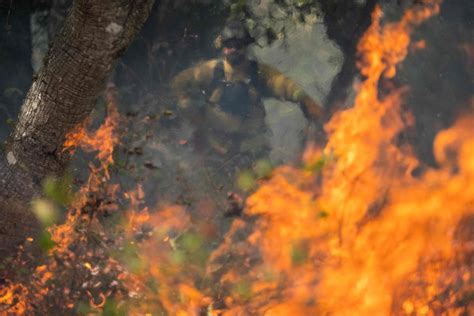 Verheerende Waldbrände im Osten Australiens PULS 24