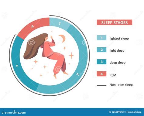 Sleep Stages Illustration. The Figure Shows A Pie Chart Of Stages Of ...