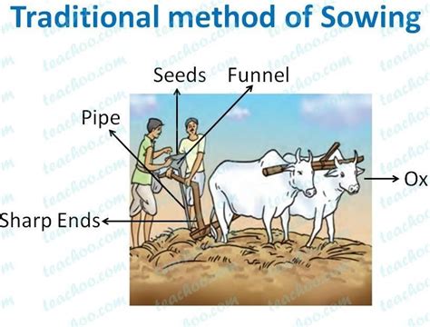 Traditional Implement Of Sowing With Diagram Brainly In