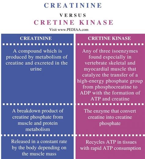 What is the Difference Between Creatinine and Creatine Kinase - Pediaa.Com