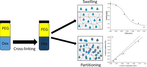 Polymeric Aqueous Two Phase System With An Immobilized Phase By Cross