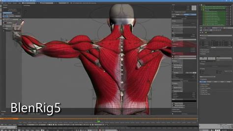 X Muscle System For Blender Youtube