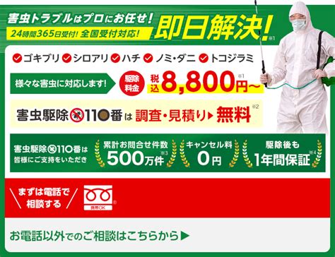 飲食店のゴキブリ駆除・対策法！自分でできるゴキブリ徹底退治のコツ 害虫駆除110番