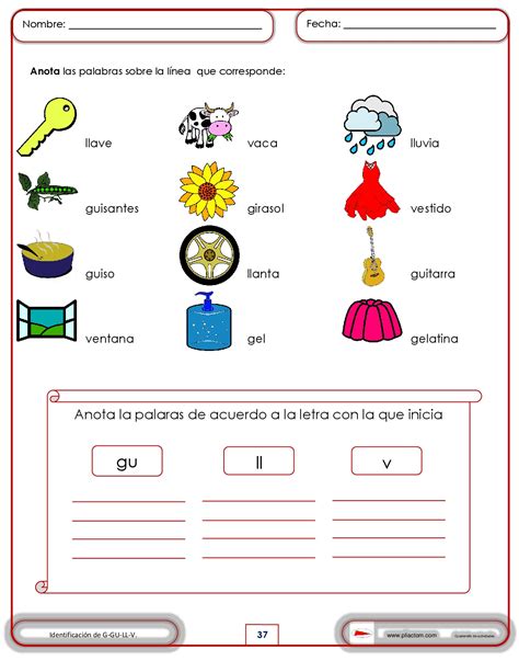 Actividades De Primer Grado