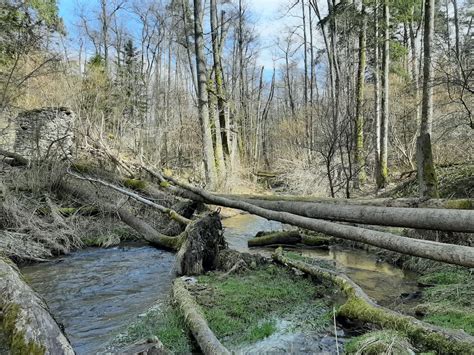 Naturalnie Lubelskie