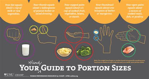 Your handy guide to portion sizes | HPRC