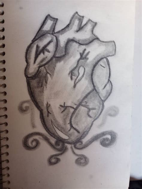 Realistic sketch of human heart by Diva161 on DeviantArt