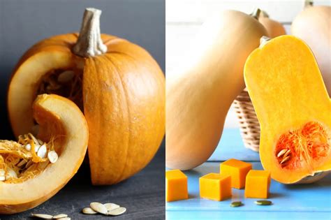 Butternut Squash Vs Pumpkin The Complete Guide The Kitchen Journal