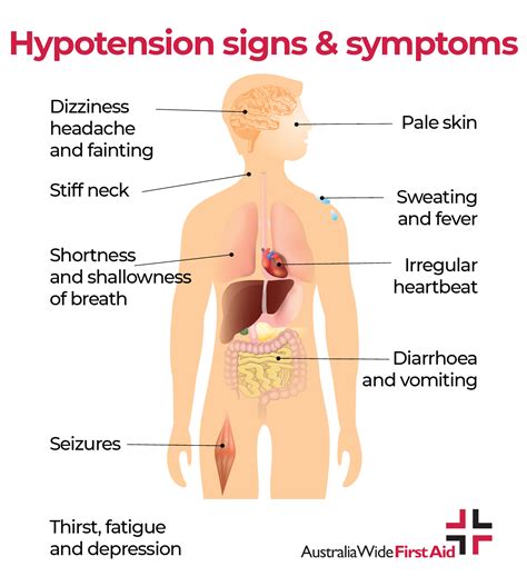 Low Blood Pressure Symptoms In Women Flash Sales | www.aikicai.org