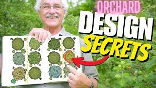 Ultimate Guide To Designing Your Permaculture Orchard Doovi