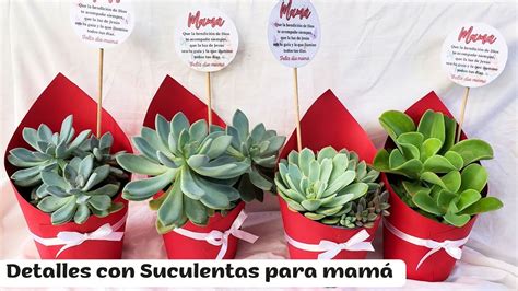 Fácil rápido y económicos arreglos de Suculentas para mamá hechos con