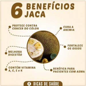 Beneficios Da Jaca Dura - Jaca Dura: Características, Nome Cientifico, Benefícios e Fotos | Mundo ...