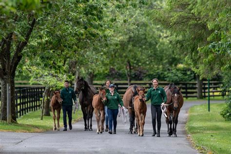 Irish National Stud And Gardens