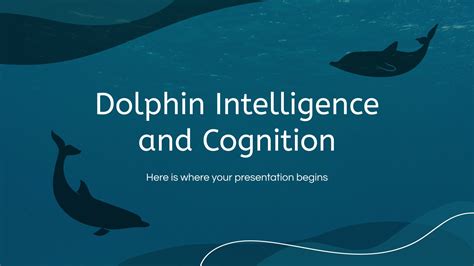 Dolphin Intelligence And Cognition Presentation