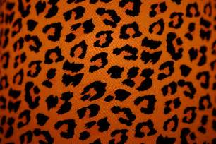 Cheetah Print Backgrounds - Wallpaper Cave